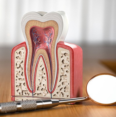 Dental mirror lying next to model of tooth on desk